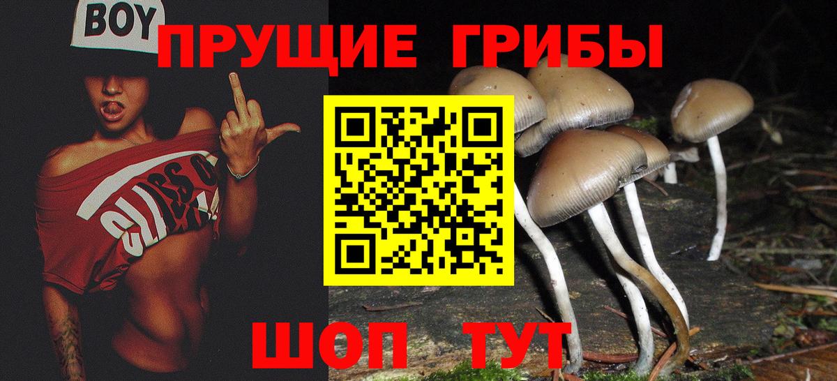 Псилоцибиновые грибы прущие грибы Протвино